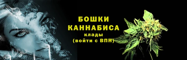 стафф Аркадак