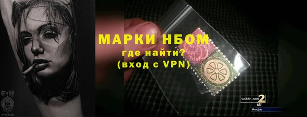 стафф Аркадак