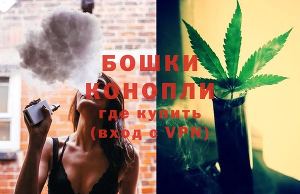 стафф Аркадак