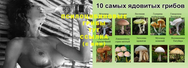стаф Армянск