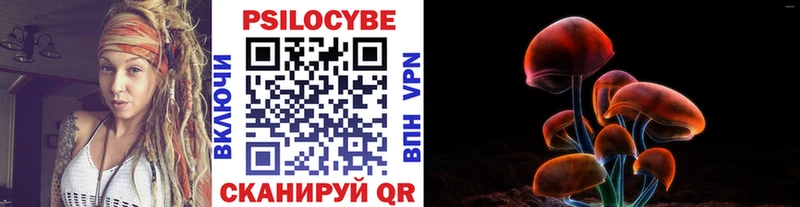 Галлюциногенные грибы Psilocybine cubensis  Болохово 